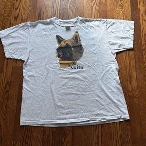 super cute vintage akita dog